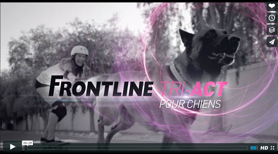 FRONTLINE SOUTH - Joséphine Prod | Société de production de films publicitaires tv et films institutionnels